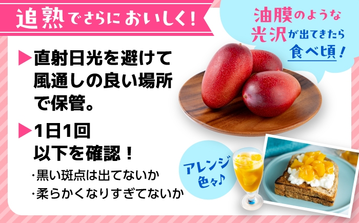 秀品 菊池マンゴー3玉 各625g以上 4Lサイズ