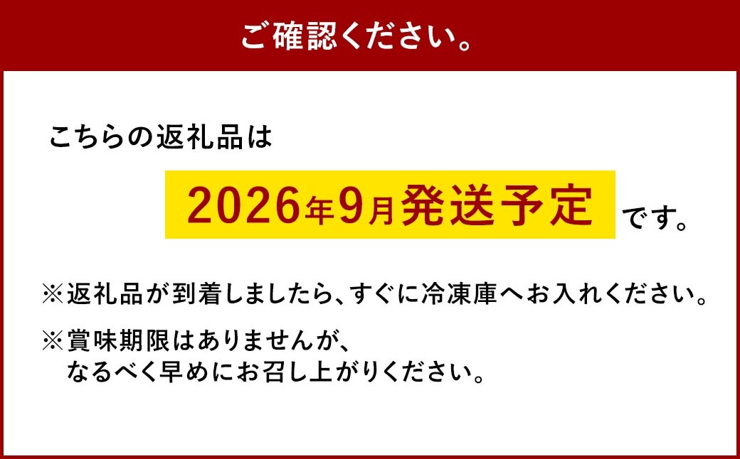 ジェラート12個セット