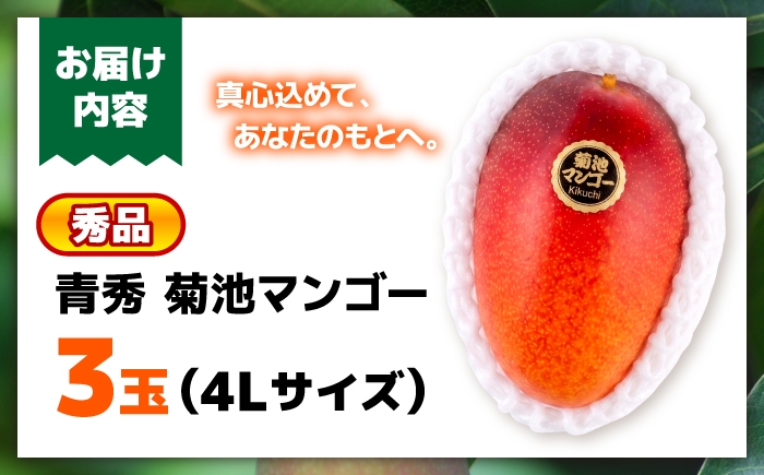 秀品 菊池マンゴー3玉 各625g以上 4Lサイズ