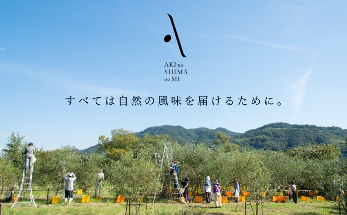 オリーブオイル エキストラバージン 油 国産 広島県産 贈答 ギフト オリーブオイル