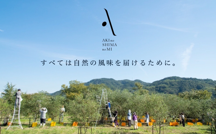 オリーブオイル エキストラバージン 油 国産 広島県産 オリーブオイル 調味料