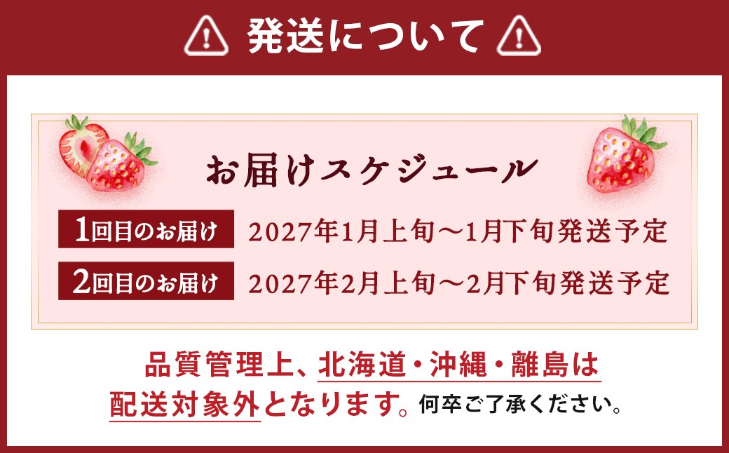 【2回定期便】いちご「あまおう」 約270g×2パック 計約1.08kg