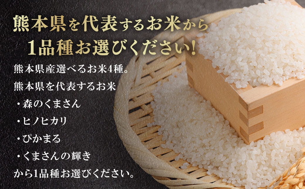 令和7年産熊本県産選べるお米5kg（森のくまさん、ヒノヒカリ、ぴかまる、くまさんの輝き）