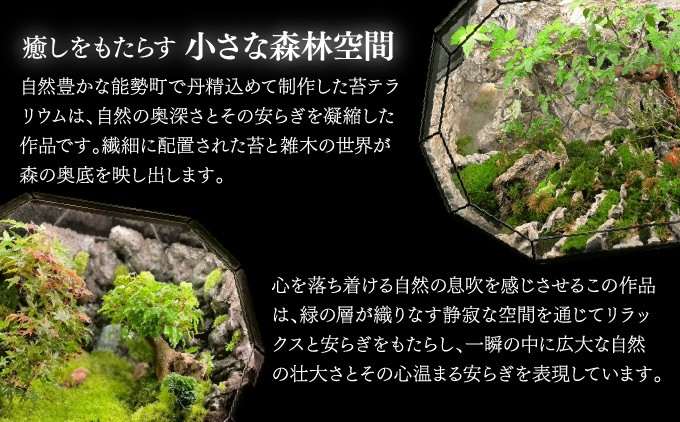 苔テラリウム | ホンダテラリウム工房 | 62面体 | 大阪府 能勢町 送料無料