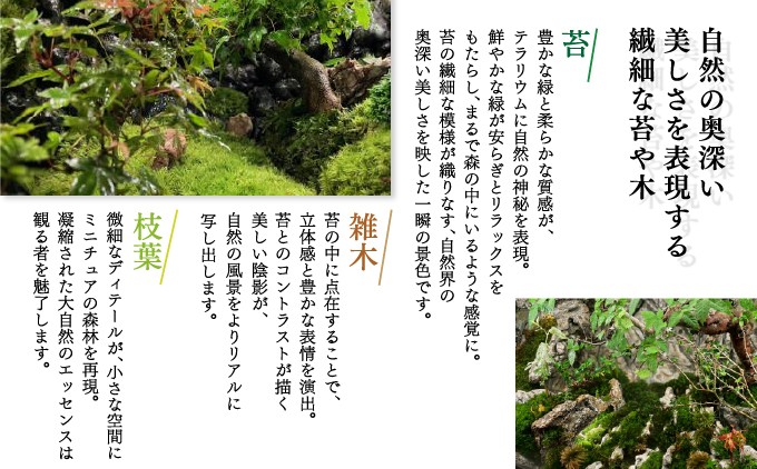 苔テラリウム | ホンダテラリウム工房 | 62面体 | 大阪府 能勢町 送料無料