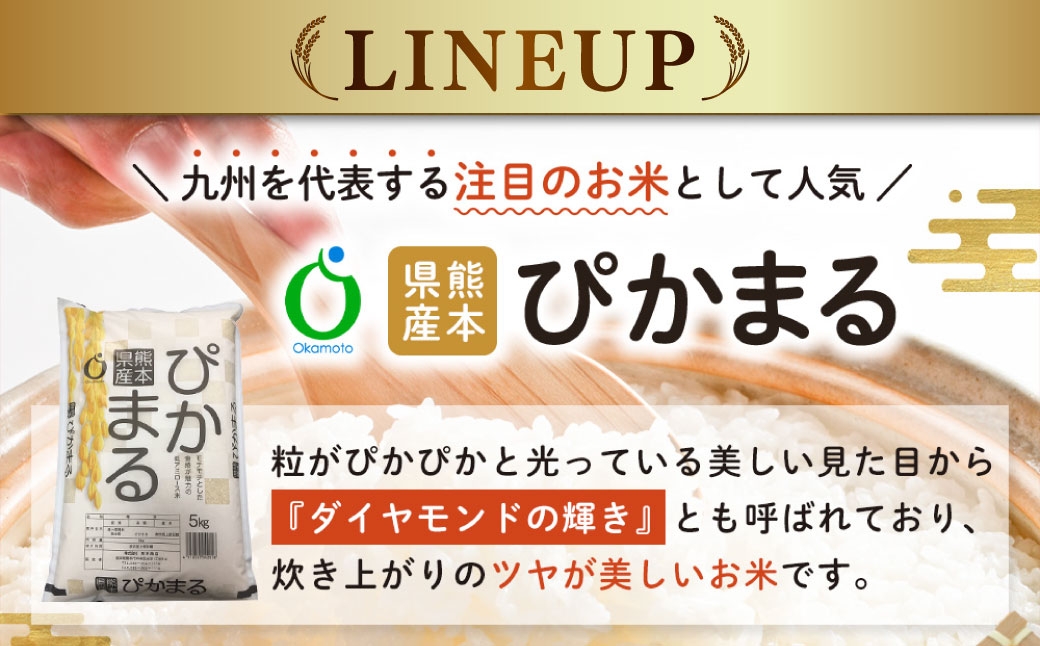 令和7年産熊本県産選べるお米5kg（森のくまさん、ヒノヒカリ、ぴかまる、くまさんの輝き）