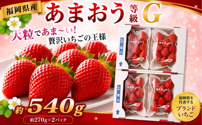あまおう 等級G 約270g×2パック 計約540g