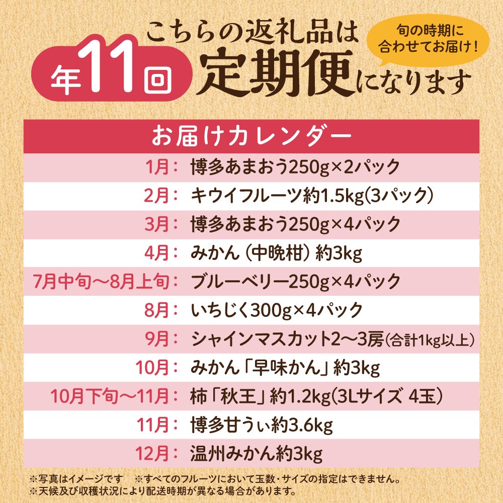 【定期便/年11回】JAむなかた厳選！旬のフルーツ定期便