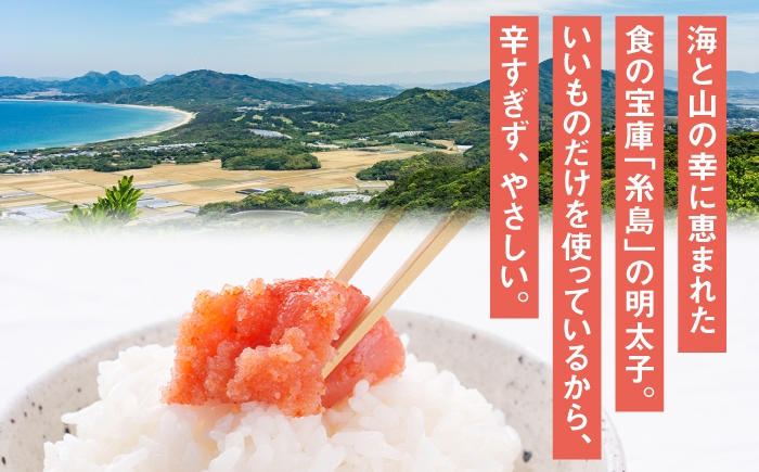 辛子 明太子 明太 めんたいこ 福岡 博多 お土産 おつまみ ご飯