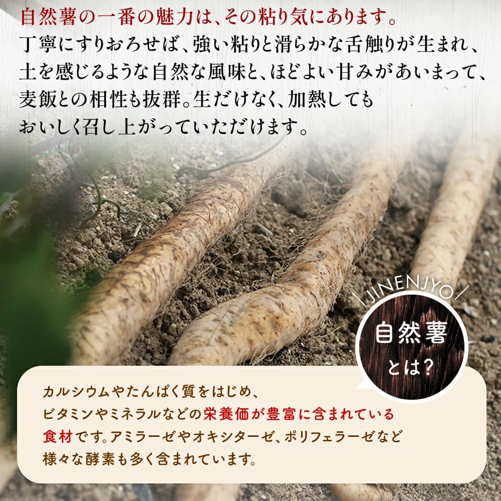 ご飯がすすむ