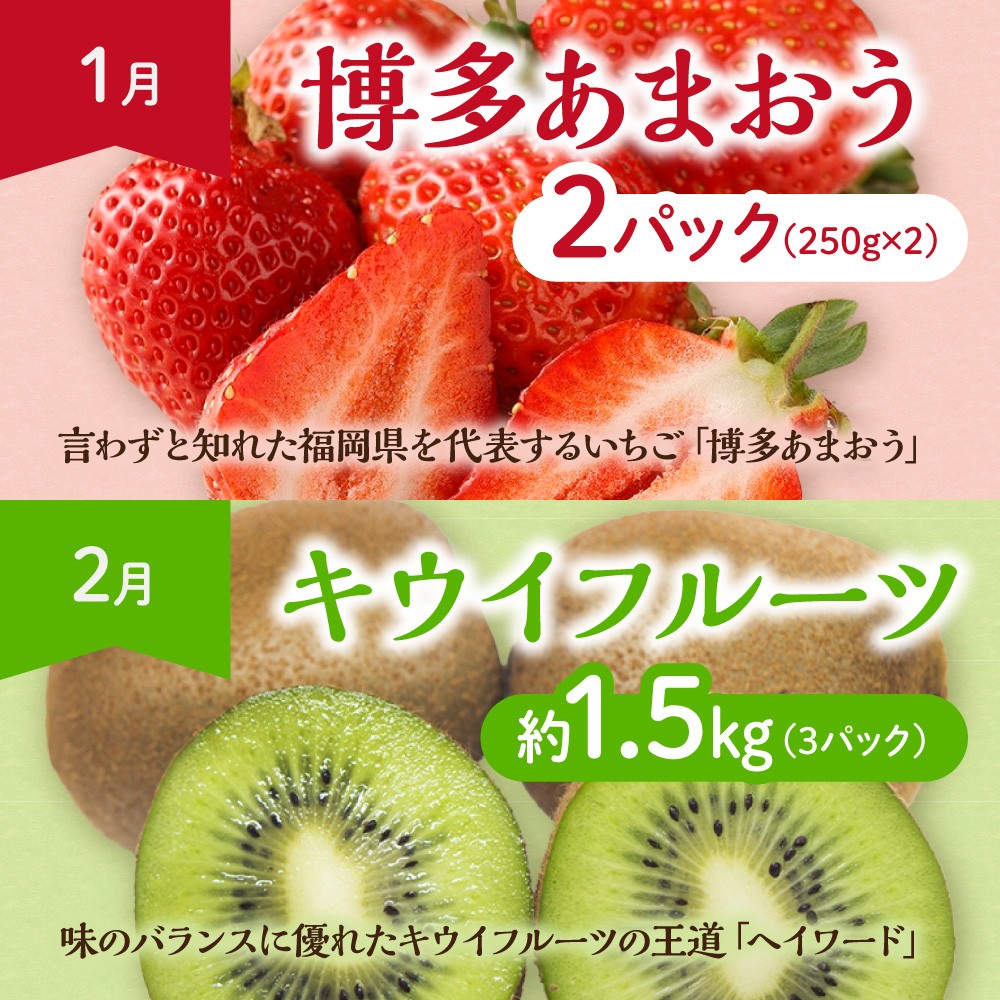 【定期便/年11回】JAむなかた厳選！旬のフルーツ定期便