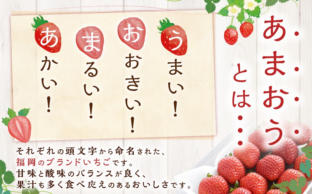 【3回定期便】博多あまおうリッチな定期便