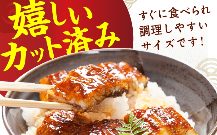 うなぎ ウナギ 鰻 パック 小分け 1キロ