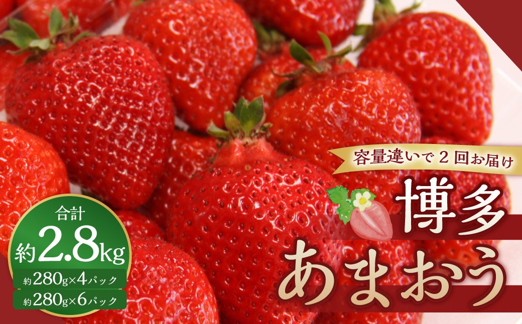 【3回定期便】博多あまおうリッチな定期便