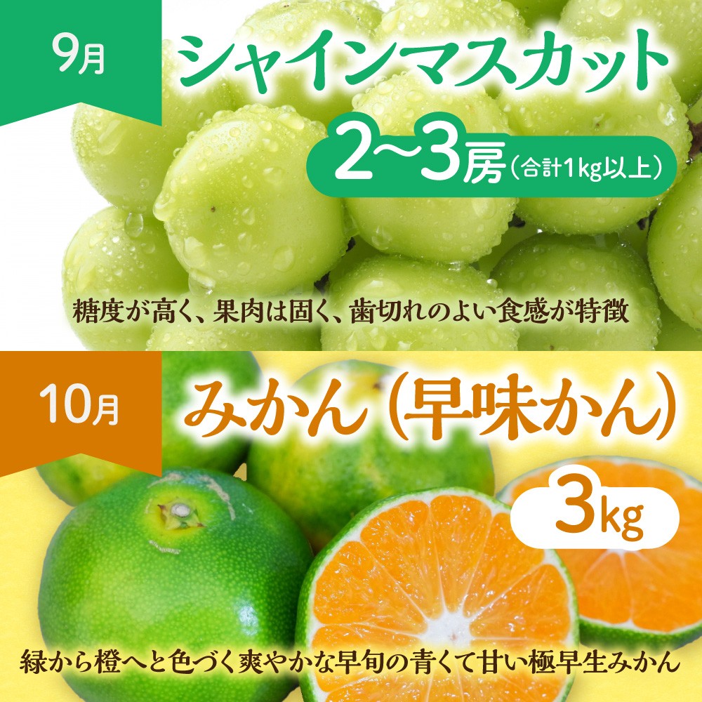 【定期便/年11回】JAむなかた厳選！旬のフルーツ定期便