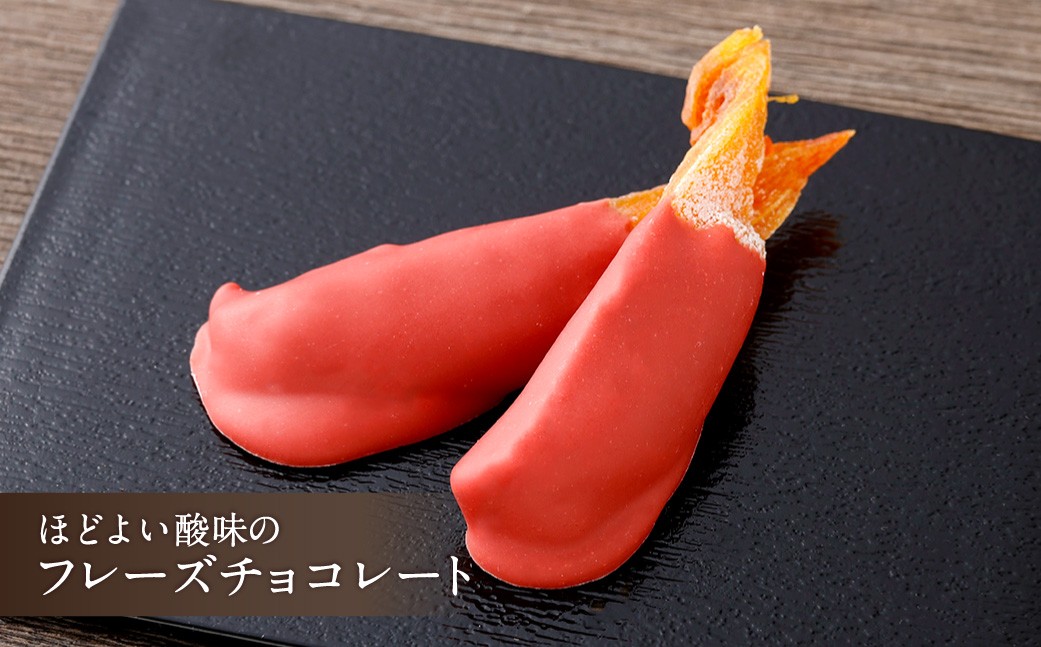 みのかも金蝶堂 堂上蜂屋柿しょこら（8個）