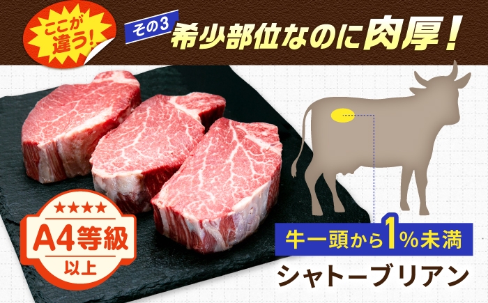 博多和牛 シャトーブリアン ステーキ ヒレ 福岡県産 希少部位