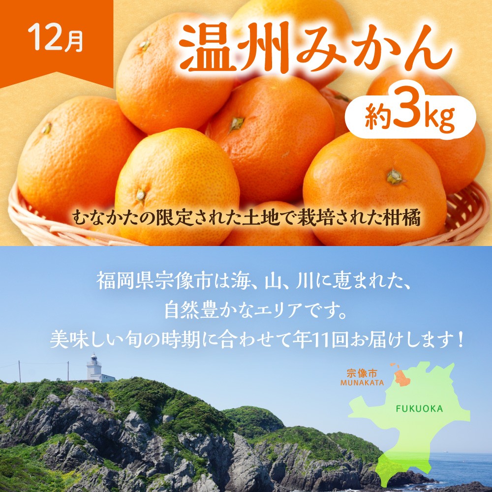 【定期便/年11回】JAむなかた厳選！旬のフルーツ定期便