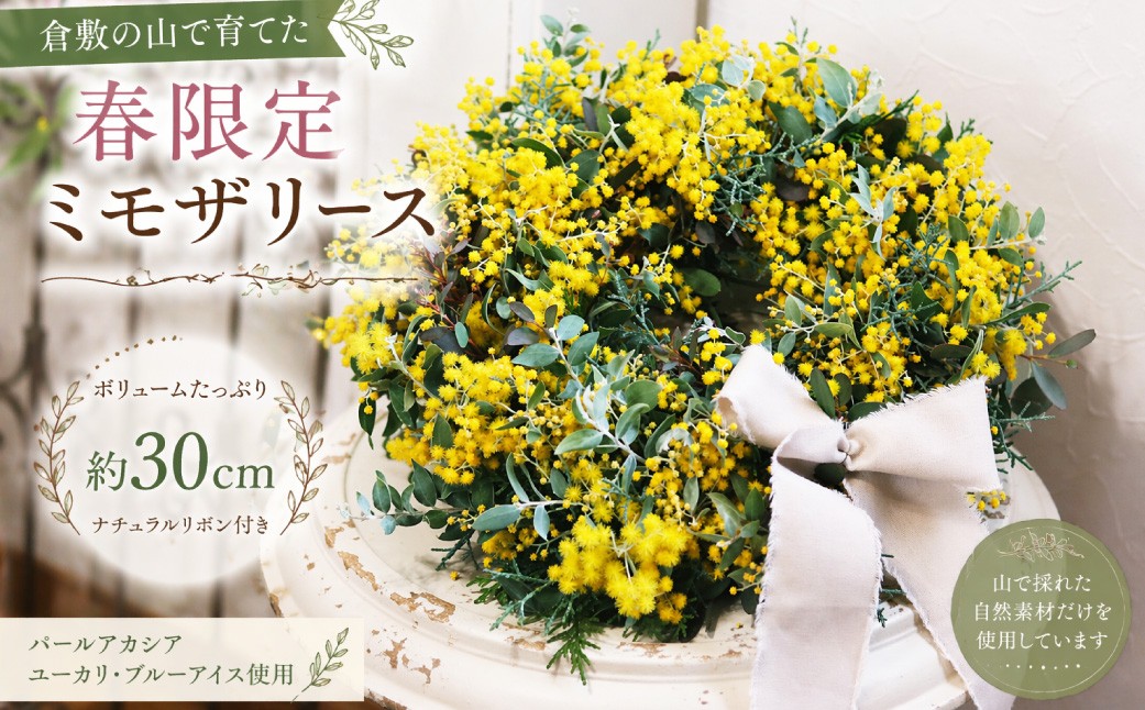 山で育てたパールアカシアの贅沢ナチュラルリース約30cmユーカリとブルーアイス春限定壁飾り