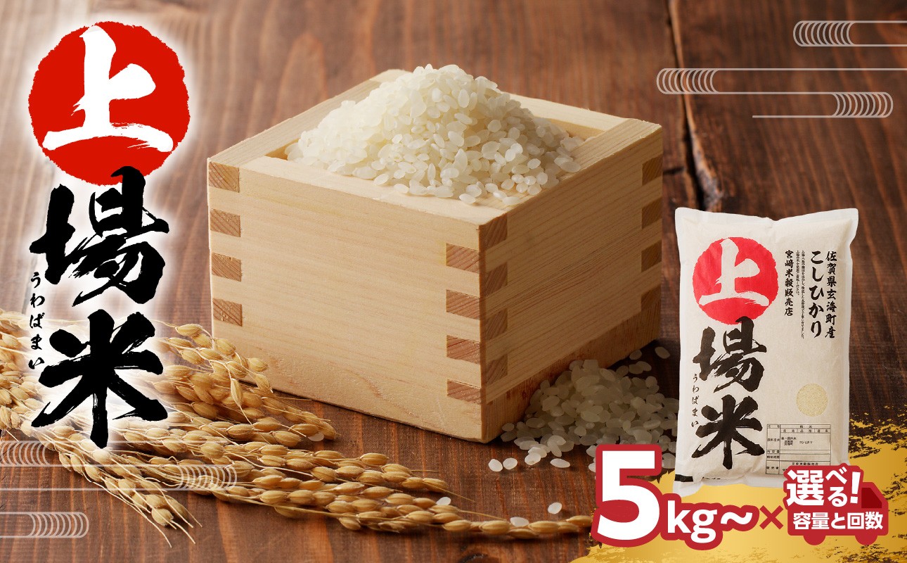 ＜令和7年度産＞佐賀県玄海町産こしひかり 上場米 5kg or 6kg or 10kg or 定期便