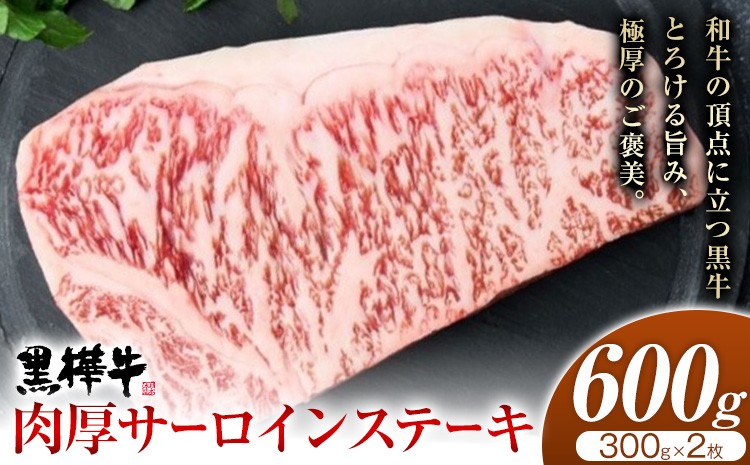 くまもと黒毛和牛 杉本本店 黒樺牛 A4~A5等級 肉厚サーロインステーキ 300g×2 計600g
