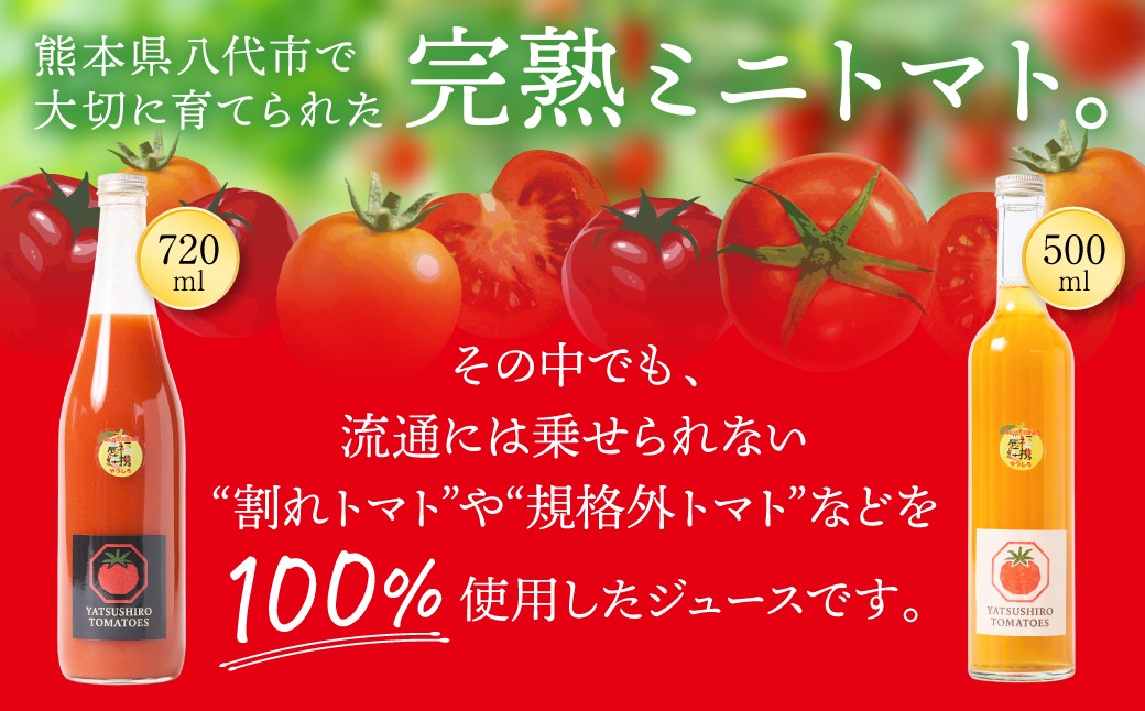 熊本県八代市で大切に育てられた完熟ミニトマト。