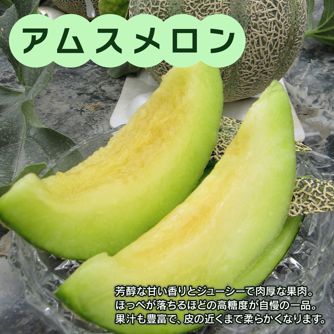 画像はイメージです