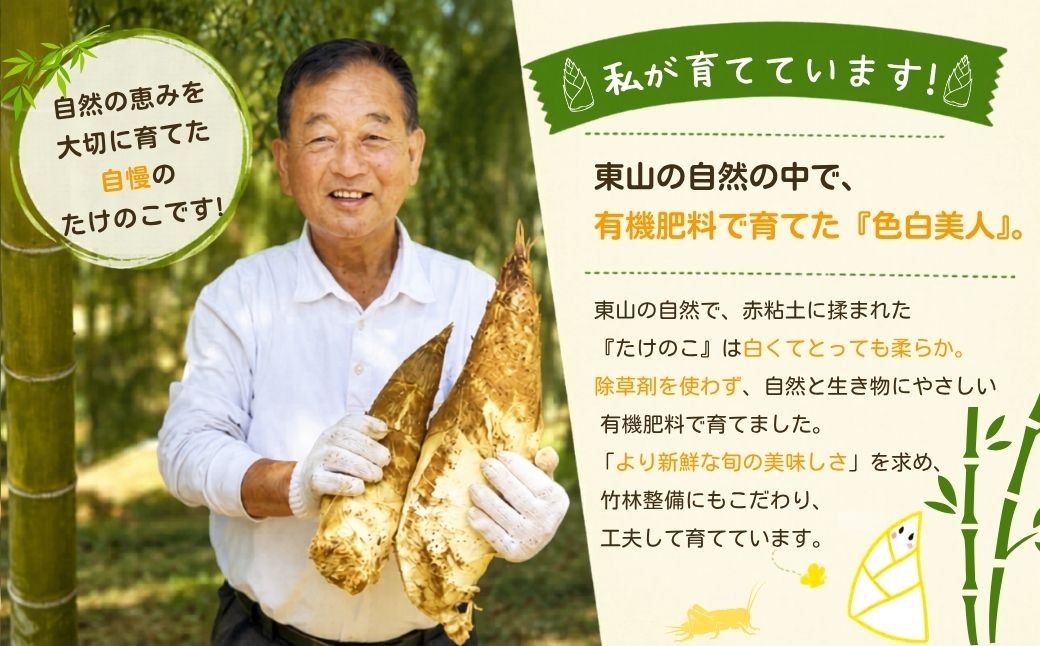 有機JAS認証  白子たけのこ 3.5kg 「色白美人」白子筍 いきいきたけのこ東山