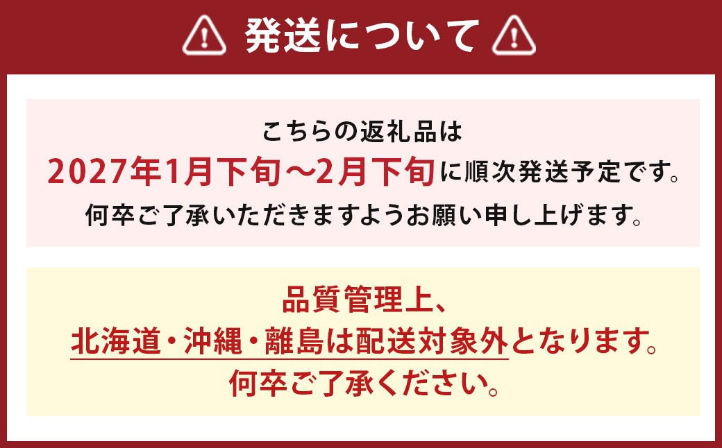 【期間限定】博多 あまおう いちご エクセレント 約450g×1パック