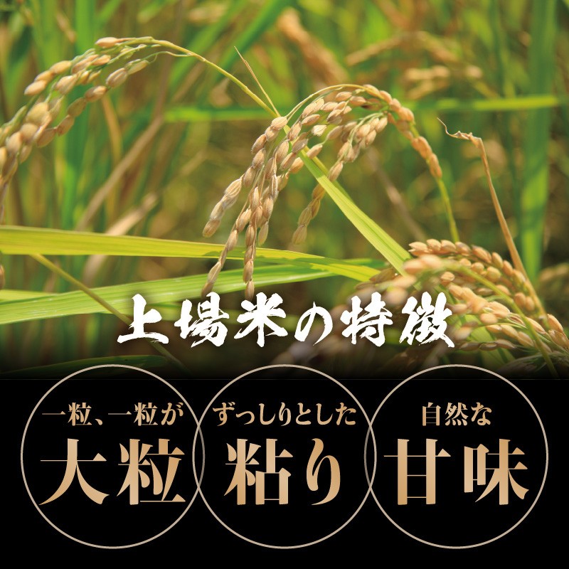 ＜令和7年度産＞佐賀県玄海町産こしひかり 上場米 5kg or 6kg or 10kg or 定期便