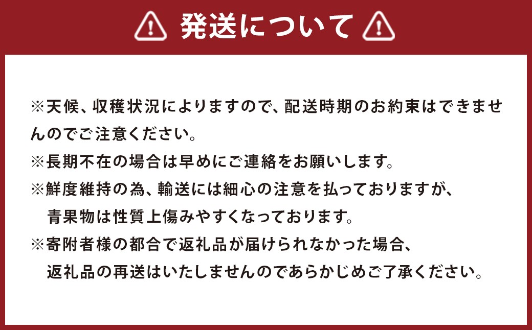 【期間限定】博多 あまおう いちご エクセレント 約450g×1パック