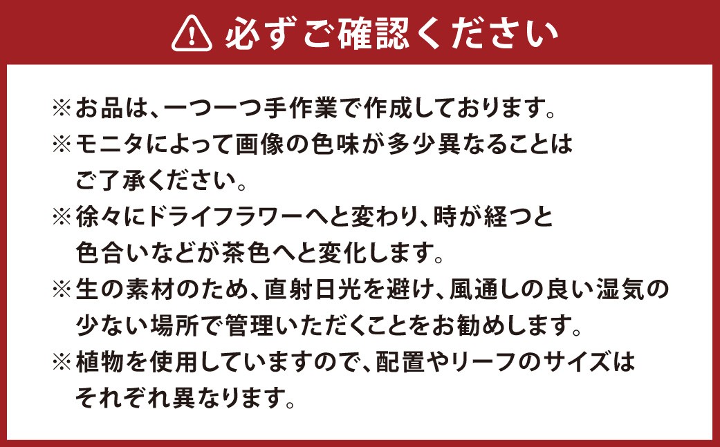山で育てたパールアカシアの贅沢ナチュラルリース約30cmユーカリとブルーアイス春限定壁飾り