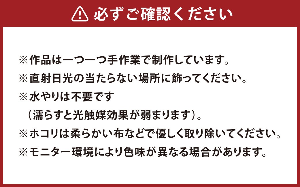 置くだけ癒し空間ラベンダーとグリーンのガラスアレンジ（お手入れ不要・光触媒）