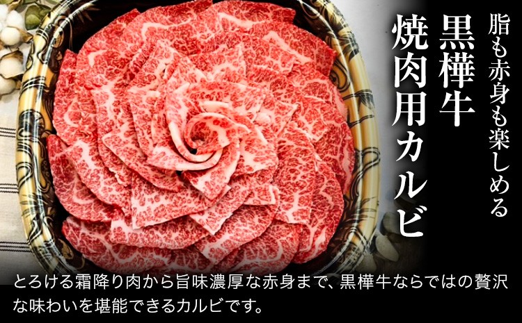 くまもと黒毛和牛 杉本本店 黒樺牛 A4~A5等級 焼肉用カルビ 250×2 計500g