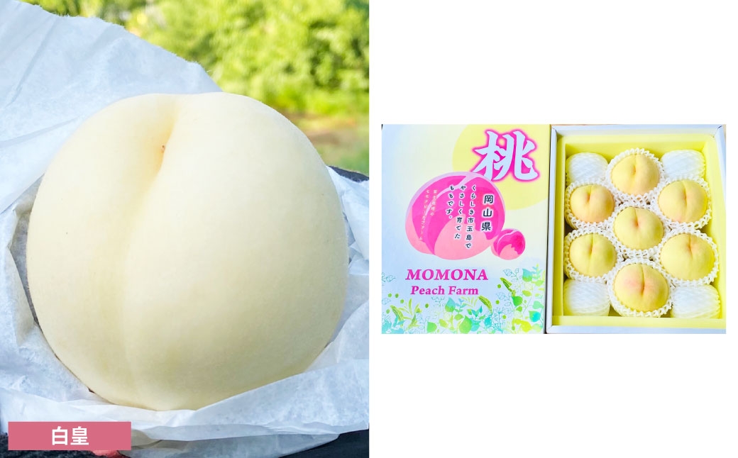 訳あり桃モモナピーチファーム2.0kg（7～9玉）
