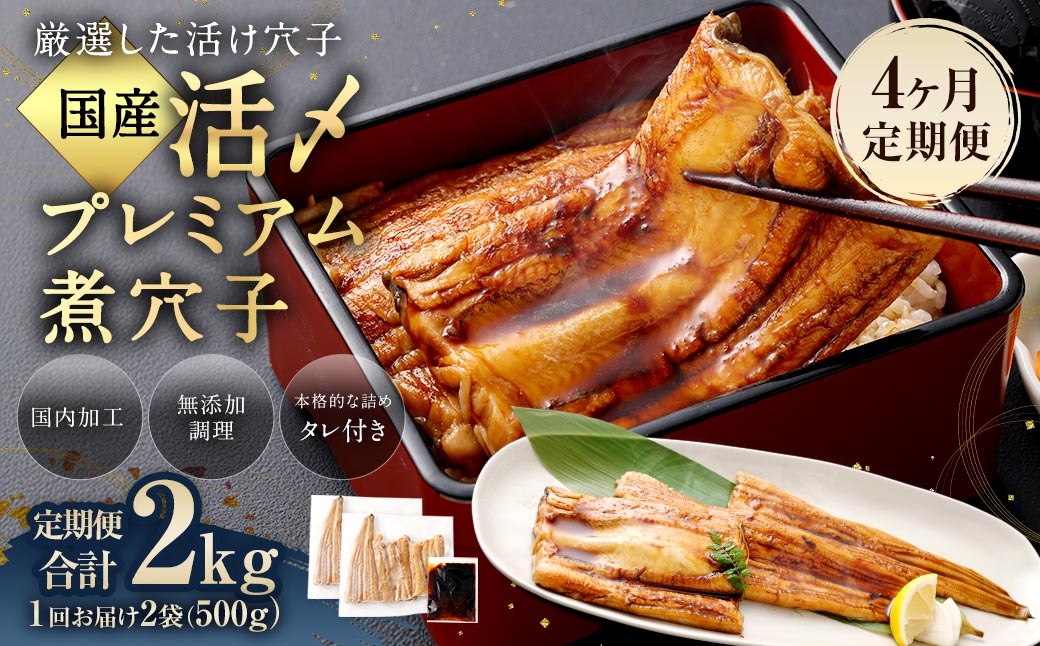 【4ヶ月定期便】国産活〆 プレミアム煮穴子500g（250g×2袋） タレ（50g）付