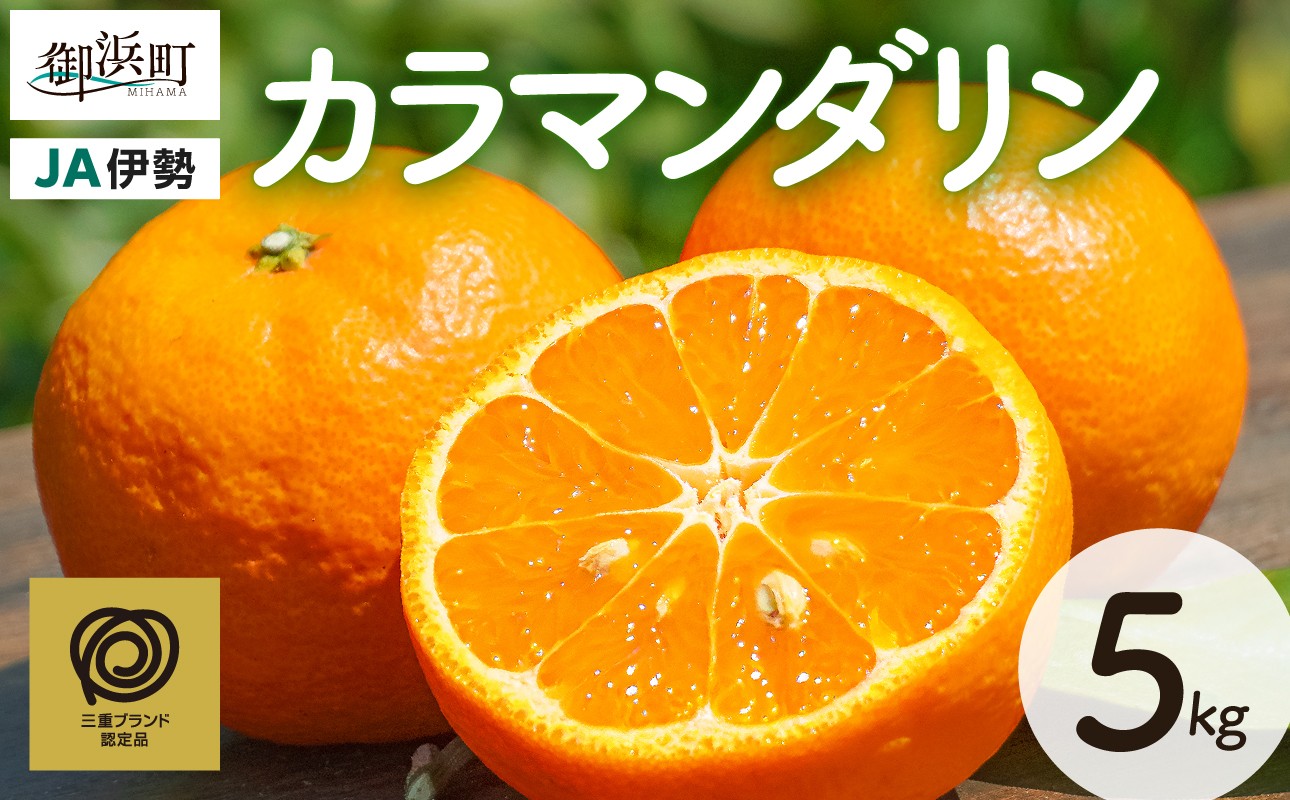 【2027年発送 先行予約品】