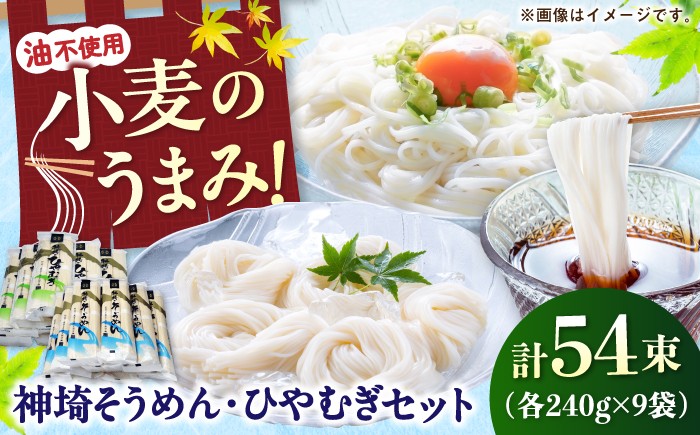 力強いコシと至福ののど越し！