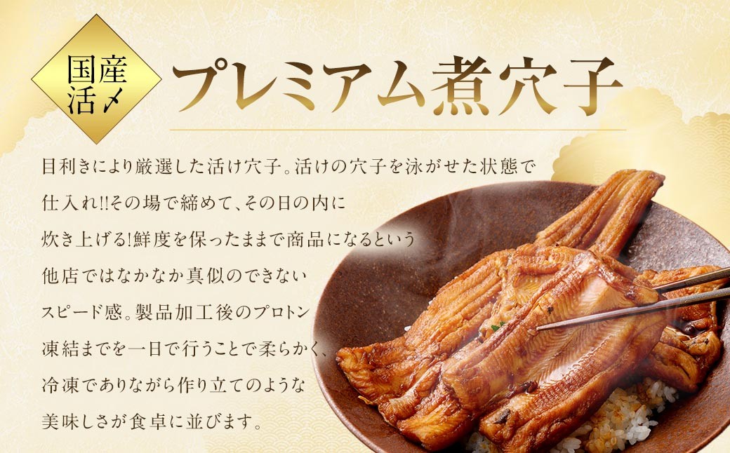 【4ヶ月定期便】国産活〆 プレミアム煮穴子500g（250g×2袋） タレ（50g）付