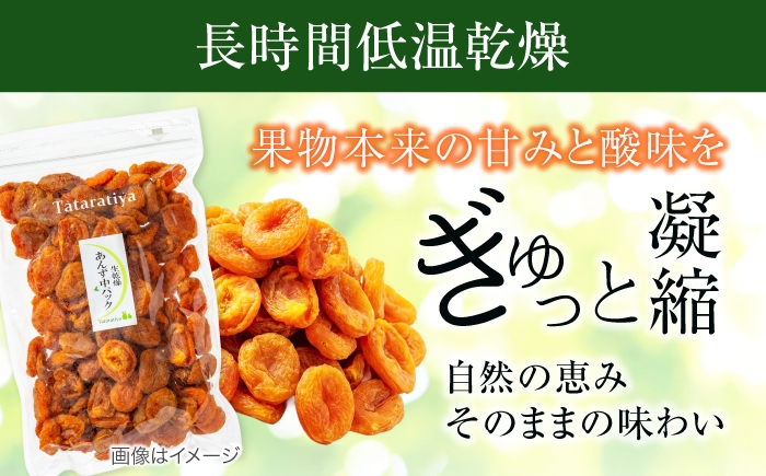 砂糖不使用 ドライフルーツ たたらちや tataratiya 杏子 アンズ