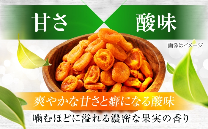 砂糖不使用 ドライフルーツ たたらちや tataratiya 杏子 アンズ