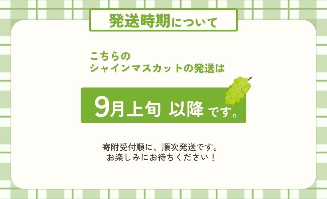 【9月上旬発送】糖度18度以上保証！兵庫県丹波市産 完熟シャインマスカット 490g～1.8kg 丹波産 ぶどう ブドウ 葡萄 