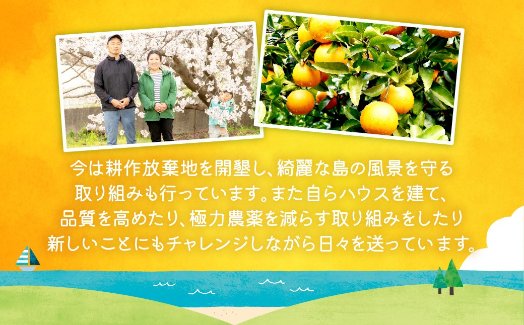 みかん ミカン オレンジ まどんな 愛果28号 みかんジュース ジュース 柑橘 添加物不使用 丸しぼり