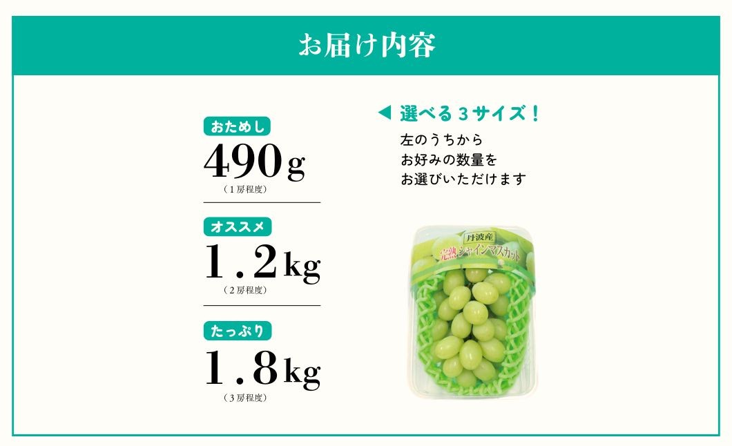 【9月上旬発送】糖度18度以上保証！兵庫県丹波市産 完熟シャインマスカット 490g～1.8kg 丹波産 ぶどう ブドウ 葡萄 
