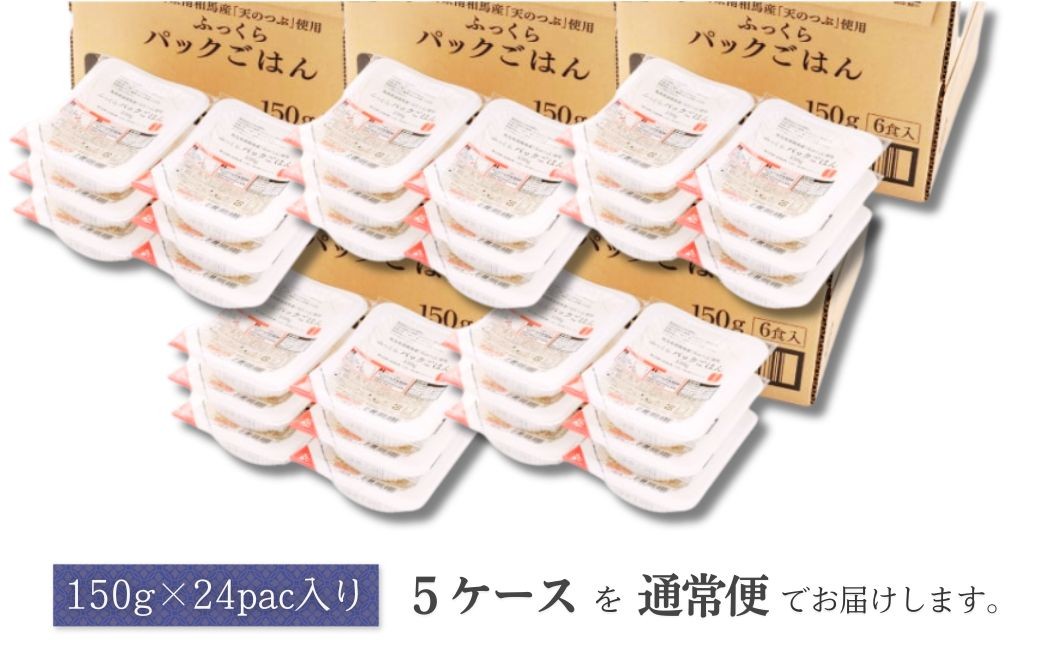 パックご飯 120食 (150g×24個×5ケース) 天のつぶ | パックご飯 ごはん パックごはん パックライス