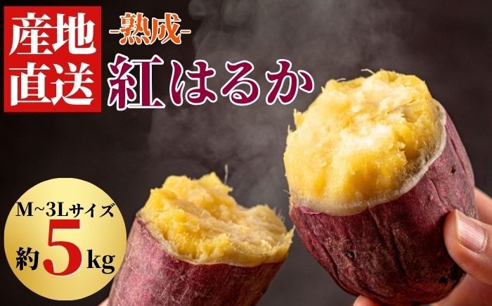 焼き芋で大人気！！紅はるかをたっぷり５kgお送りします。