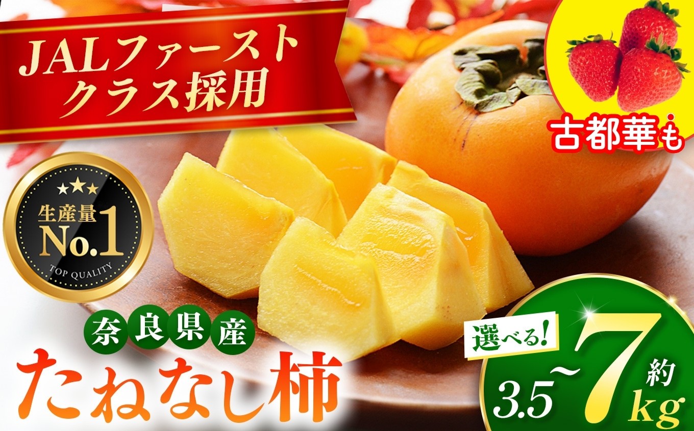 たねなし柿　約7kg箱（26～30個入）