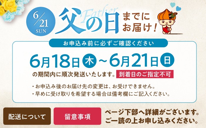 ビーフジャーキー ジャーキー 佐賀県 佐賀 国産牛 牛肉 赤身肉 保存料不使用