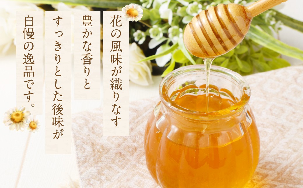 MINOKAMO HONEY はちみつ 1本（300g×1）合計300g