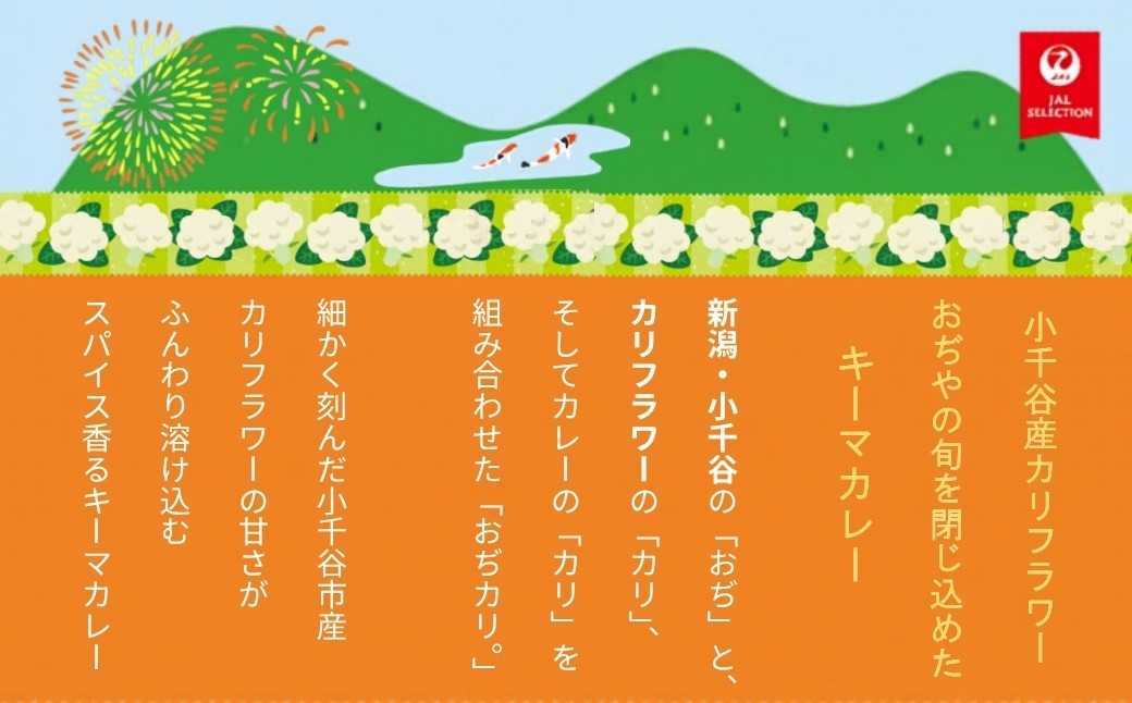 【JALふるさとプロジェクト】おぢカリ。キーマカレー